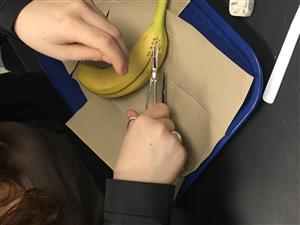 Suturing 